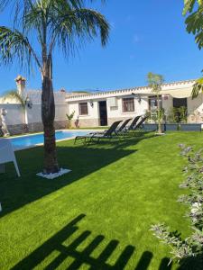 a yard with a pool and palm trees at Musa del Paraíso in Novo Sancti Petri