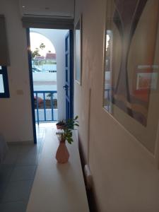einen Flur mit einer Pflanze in einer Vase neben einer Tür in der Unterkunft Bungalows Maspalomas in Maspalomas