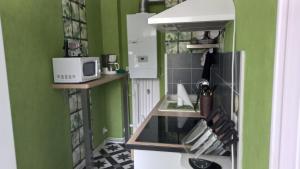 une cuisine aux murs verts et un comptoir avec un four micro-ondes dans l'établissement studio 1 pièce principale avec balcon local à vélo privé place dans la rue pour voiture, à Dieppe