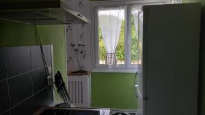 une cuisine avec des murs verts et une fenêtre dans l'établissement studio 1 pièce principale avec balcon local à vélo privé place dans la rue pour voiture, à Dieppe