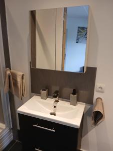 a bathroom with a sink and a mirror at Appartement confortable 3 pièces in Pierrefitte-sur-Seine