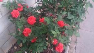 Giardino di El Manantial B&B