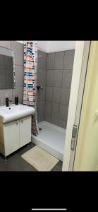 a bathroom with a shower and a sink and a tub at Cazare Bârlad 3 in Bîrlad