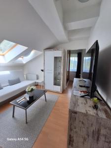 TV a/nebo společenská místnost v ubytování AlpenKlub Hotel