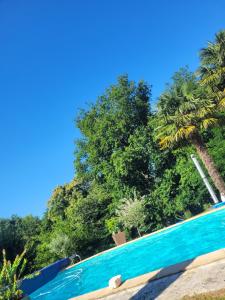 a swimming pool with trees in the background at Petite maison dans les bois in Villefranque