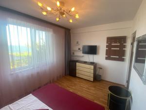 TV a/nebo společenská místnost v ubytování Vila Andreea