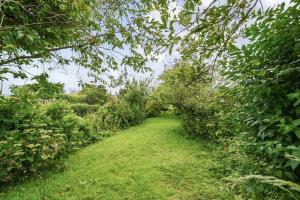 einen Weg durch einen Garten mit Bäumen und Gras in der Unterkunft Fowey, Cute Cottage in Fowey