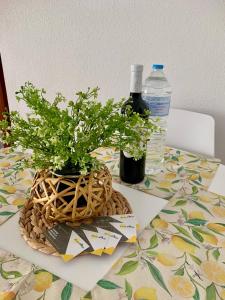 Fotografie z fotogalerie ubytování Sunny Green Apartment v destinaci Torrevieja