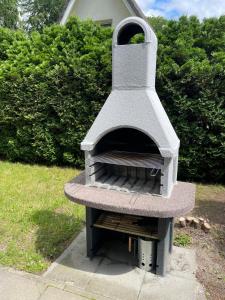 an outdoor pizza oven sitting in the grass at Haus Kranich -direkt am See Natur pur- in Lalendorf