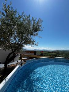a swimming pool with a tree in the background at SunHill Villa in Shkodër