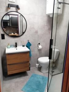 a bathroom with a sink and a mirror and a toilet at Apart & Plus 2 in Okuninka