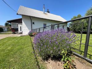 Vonkajšia záhrada v ubytovaní Hacienda Avoxa