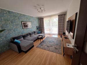 Televízia a/alebo spoločenská miestnosť v ubytovaní Apartament Galeria Warmińska