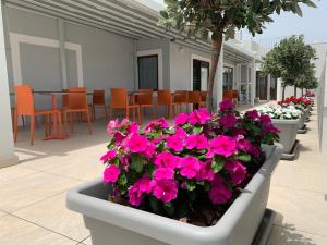 Φωτογραφία από το άλμπουμ του Duncan Guesthouse σε Marsaxlokk