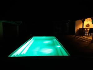 a green swimming pool in a dark room at Seosko turističko domaćinstvo Tisa i Begej in Kni°anin