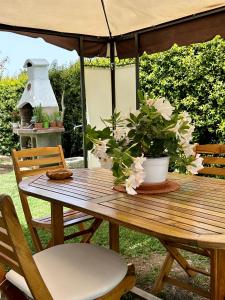 Gallery image of Alto Giardino in Zambrone +37 photos