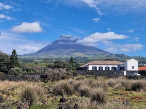 a mountain in the distance with a house and a building at Solar dos limas in Criação Velha