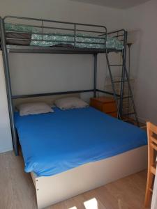 Postel nebo postele na pokoji v ubytování Studio Dijon entre fac hopital et centre