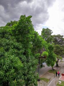 Ảnh trong thư viện ảnh của Apartamento en Cali ở Cali