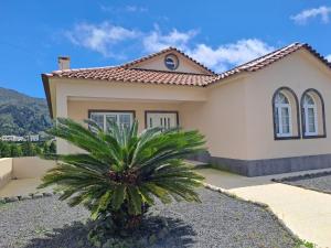 a house with a palm tree in front of it at Casa das Caldeiras in Furnas