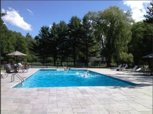 a swimming pool with people in the water at The Dorset Inn in Dorset