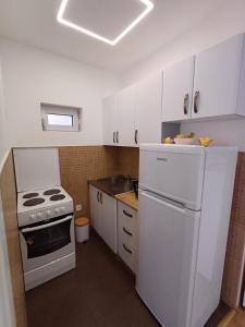 a kitchen with a white refrigerator and a stove at Apartment Milan in Boreti