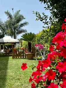 Gallery image of Alto Giardino in Zambrone