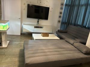 ein Wohnzimmer mit Couch und Flachbildfernseher in der Unterkunft Apartamento Valdés in El Puerto de Santa María