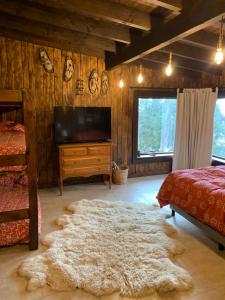 a living room with a television and a large rug at Dormis Llao in San Carlos de Bariloche