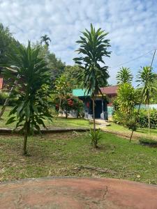 Zahrada ubytování Durian Chalet + 25 fotografií