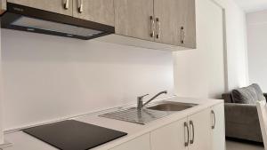 Kuhinja ili čajna kuhinja u objektu Sublime one-bedroom apartamentnr6
