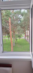 Taman di luar Квартира в центре отдыха Лазурный Берег