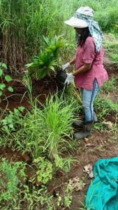 Fotografie z fotogalerie ubytování FOODnSTAY Mumbai v destinaci Karjat