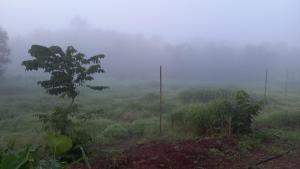 Fotografie z fotogalerie ubytování FOODnSTAY Mumbai v destinaci Karjat