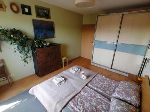 Ένα ή περισσότερα κρεβάτια σε δωμάτιο στο Jauki erdvĖ