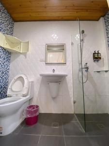 un bagno con wc, lavandino e doccia di Big Fish Homestay a Magong Altre 32 foto