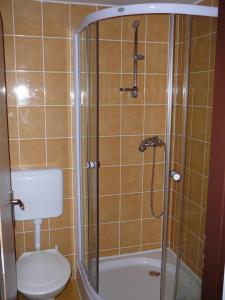 a bathroom with a shower with a toilet and a sink at Horská chata Skácelka in Rokytnice nad Jizerou