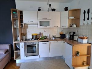 Kuchyňa alebo kuchynka v ubytovaní Apartment Peruč with big terrace and beautiful garden
