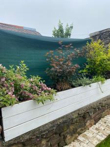Vonkajšia záhrada v ubytovaní Apartmán Modrý dom 1
