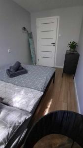 Ένα ή περισσότερα κρεβάτια σε δωμάτιο στο APARTAMENT FLOWERS - KIELCE