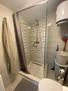 a shower with a glass door in a bathroom at Apartmani Gršćica 2 in Blato