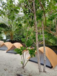 a group of tents on a beach with trees at Redang Campstay in Redang Island