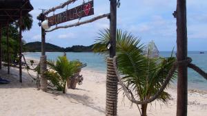 a palm tree on a beach next to the ocean at Redang Campstay in Redang Island