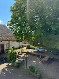 a park with benches and tables and a tree at Hinkelshof - als Ferienwohnung - Selbstversorgerküche & Aufenthaltsräume - Südeifel, Mullerthal, Vianden in Körperich