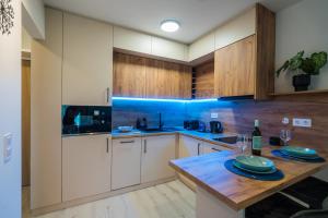 Kuchyň nebo kuchyňský kout v ubytování MyFlat Wave 36 Suite
