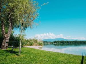 una panchina accanto a un albero accanto a un lago di 1 at Lake Faak - Karglhof - South view a Faak am See