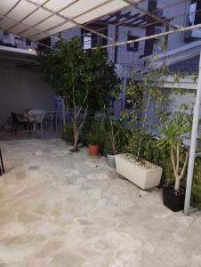 Φωτογραφία από το άλμπουμ του Milica Soba 1 σε Petrovac na Moru