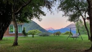 een stoel in een veld met bergen op de achtergrond bij Villa Intelvi in Castiglione dʼIntelvi +34 foto's
