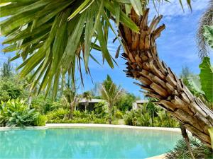 Bazén v ubytování Cape Pakarang Wow Wild Wellness Escapes nebo v jeho okolí + 37 fotografií