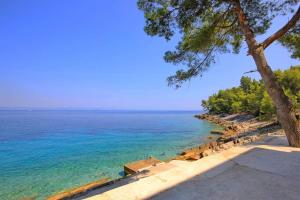 BlatoにあるMediterranean vacation homeの木と海の景色を望む +8枚の写真